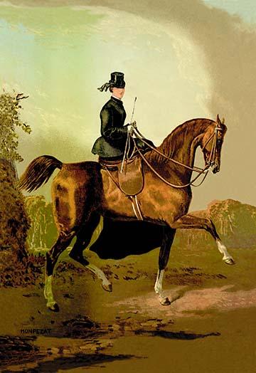 Horse Prints Art To Decorate Your Home