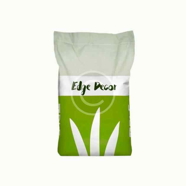 Lawn grass seeds