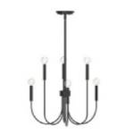 Cary 24'' Wide 6-Light Chandelier - Matte Black