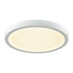 Titan 10'' Wide Integrated LED Flush Mount - White