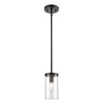 Oakland 4'' Wide 1-Light Mini Pendant - Black