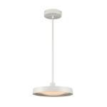 Nancy 13.75'' Wide Integrated LED Pendant - Matte White