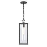 Augusta 7'' Wide 1-Light Outdoor Pendant - Matte Black