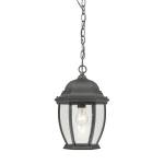 Covington 9.5'' Wide 1-Light Outdoor Pendant - Black
