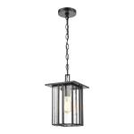 Radnor 8'' Wide 1-Light Outdoor Pendant - Matte Black