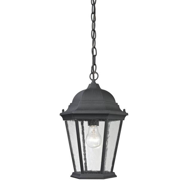 Temple Hill 10'' Wide 1-Light Outdoor Pendant - Matte Textured Black