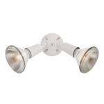 Daley 6'' High 2-Light Outdoor Sconce - White
