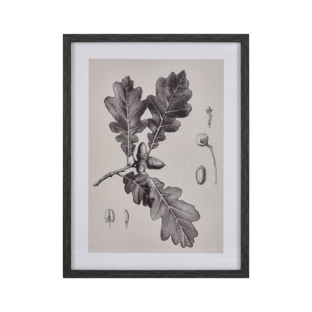 Foliage I Botanic Framed Wall Art - Ivory