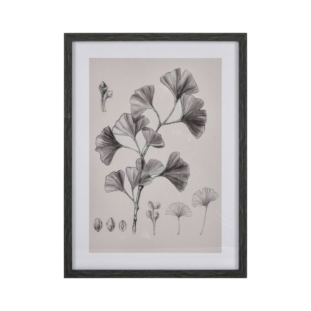 Foliage II Framed Wall Art - Ivory