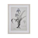 Stems I Framed Wall Art - Cream