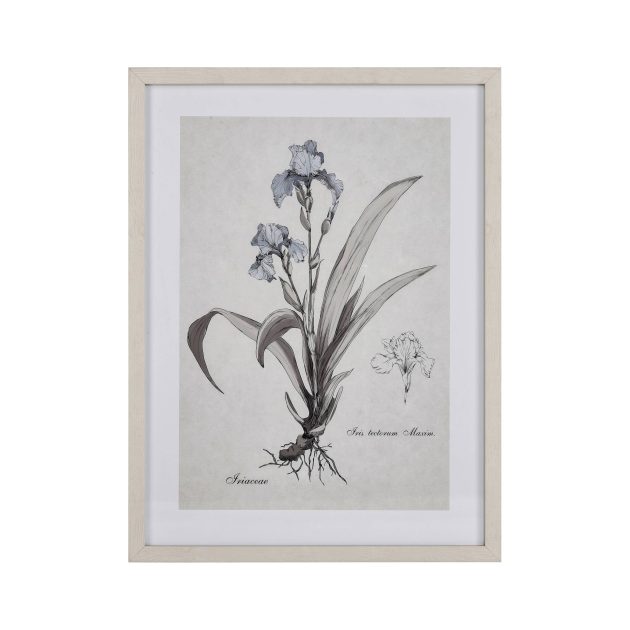Stems I Framed Wall Art - Cream