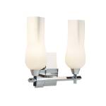Fleur 14.75'' Wide 2-Light Vanity Light - Chrome