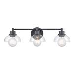 Julian 24'' Wide 3-Light Vanity Light - Matte Black