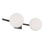 Perch 24'' Wide 2-Light Vanity Light - Acid Dipped Black
