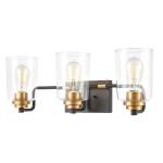 Robins 23'' Wide 3-Light Vanity Light - Matte Black
