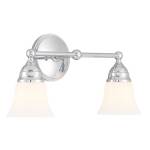 Sofia 16.5'' Wide 2-Light Vanity Light - Chrome