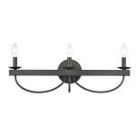 Williamson 24'' Wide 3-Light Vanity Light - Black