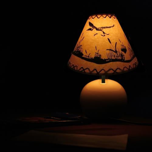 9" Rustic Flying loon scene- Faux oiled kraft laced lamp shade with lacing top and bottom and comes with clip-on. - Image 2
